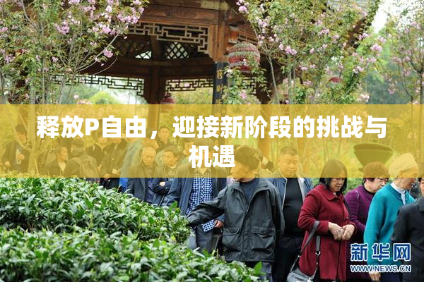 释放P自由，迎接新阶段的挑战与机遇