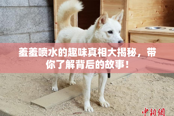 羞羞喷水的趣味真相大揭秘，带你了解背后的故事！
