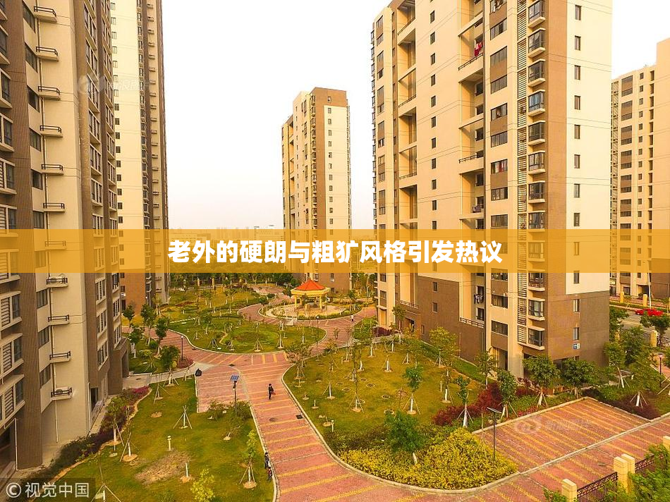 老外的硬朗与粗犷风格引发热议