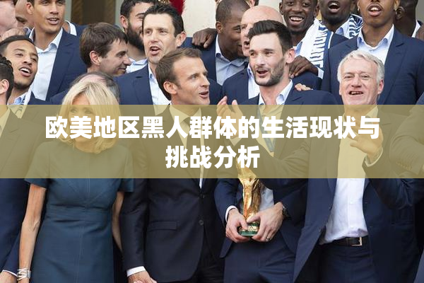 欧美地区黑人群体的生活现状与挑战分析