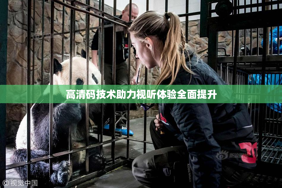高清码技术助力视听体验全面提升
