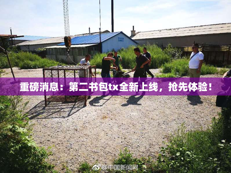 重磅消息：第二书包tx全新上线，抢先体验！