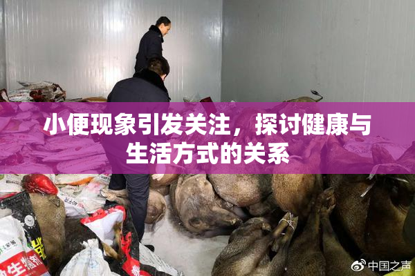 小便现象引发关注，探讨健康与生活方式的关系