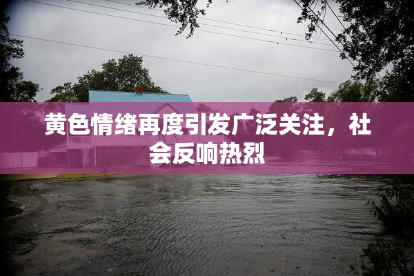 黄色情绪再度引发广泛关注，社会反响热烈
