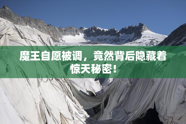 魔王自愿被调，竟然背后隐藏着惊天秘密！