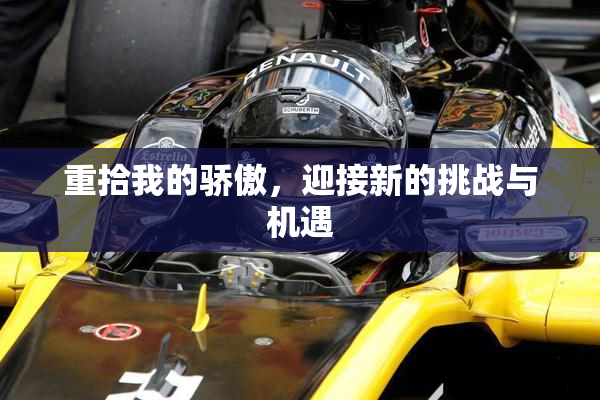 重拾我的骄傲，迎接新的挑战与机遇