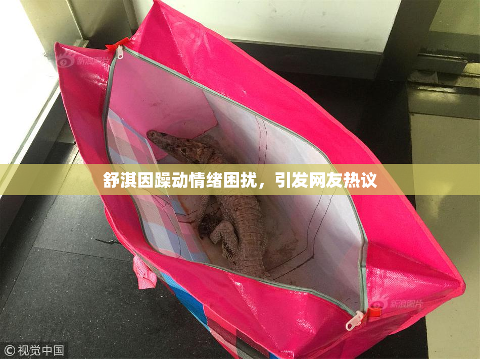 舒淇因躁动情绪困扰，引发网友热议