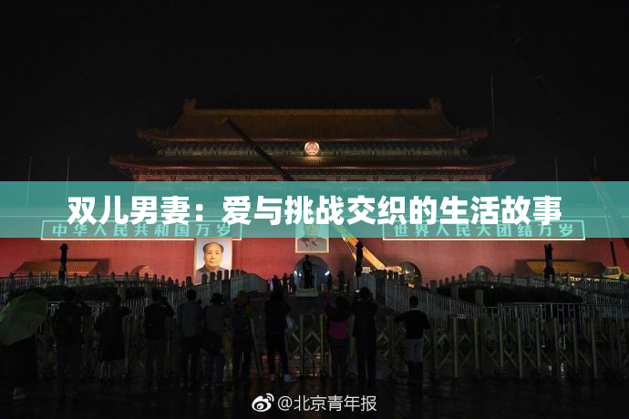 双儿男妻：爱与挑战交织的生活故事