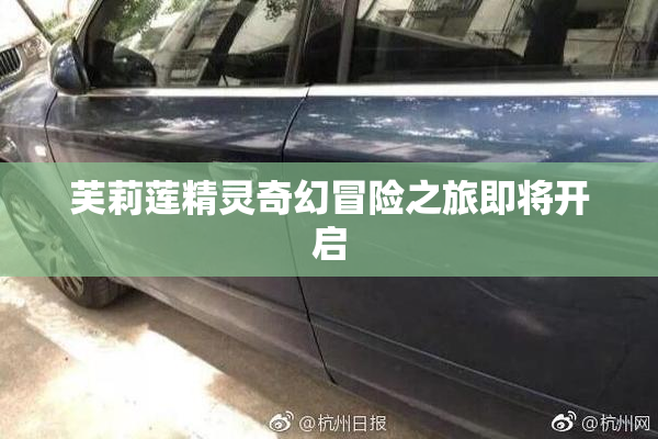 芙莉莲精灵奇幻冒险之旅即将开启
