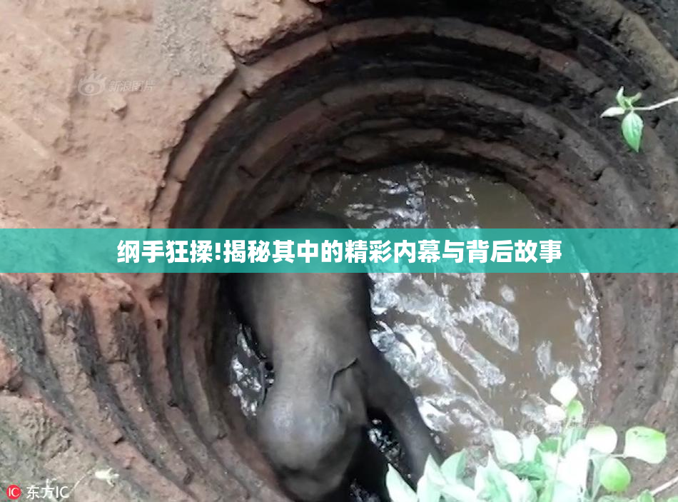纲手狂揉!揭秘其中的精彩内幕与背后故事