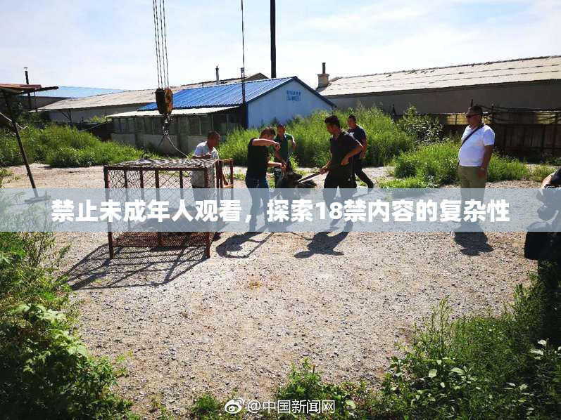 禁止未成年人观看，探索18禁内容的复杂性
