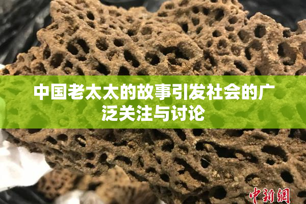中国老太太的故事引发社会的广泛关注与讨论