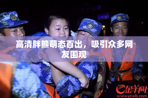 高清胖熊萌态百出，吸引众多网友围观