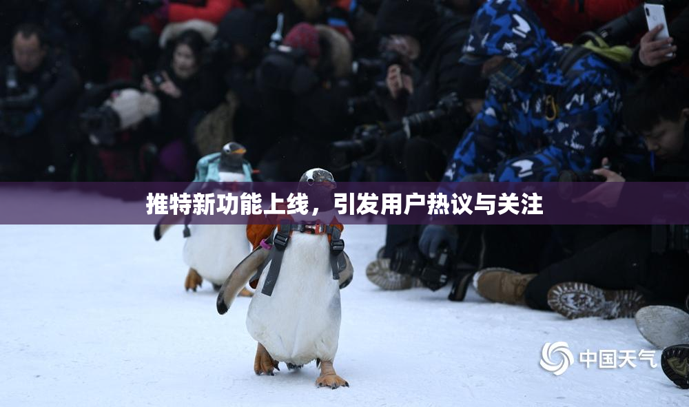 推特新功能上线，引发用户热议与关注