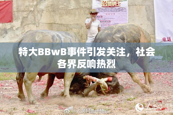 特大BBwB事件引发关注，社会各界反响热烈