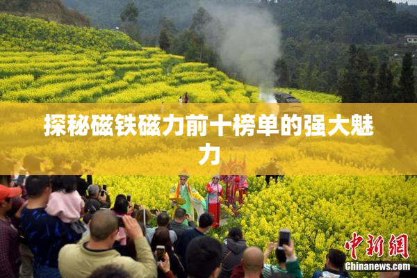 探秘磁铁磁力前十榜单的强大魅力