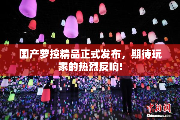 国产萝控精品正式发布，期待玩家的热烈反响!