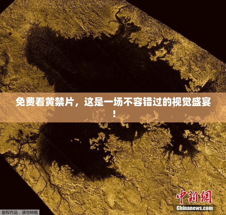 免费看黄禁片，这是一场不容错过的视觉盛宴！