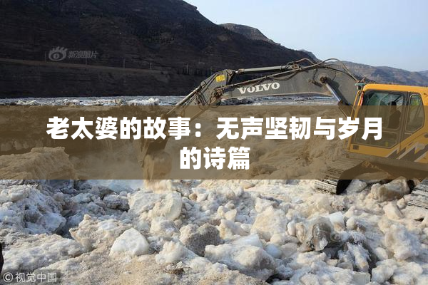 老太婆的故事：无声坚韧与岁月的诗篇