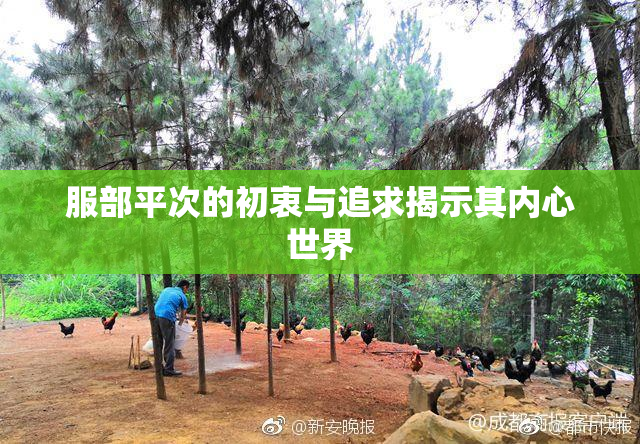 服部平次的初衷与追求揭示其内心世界