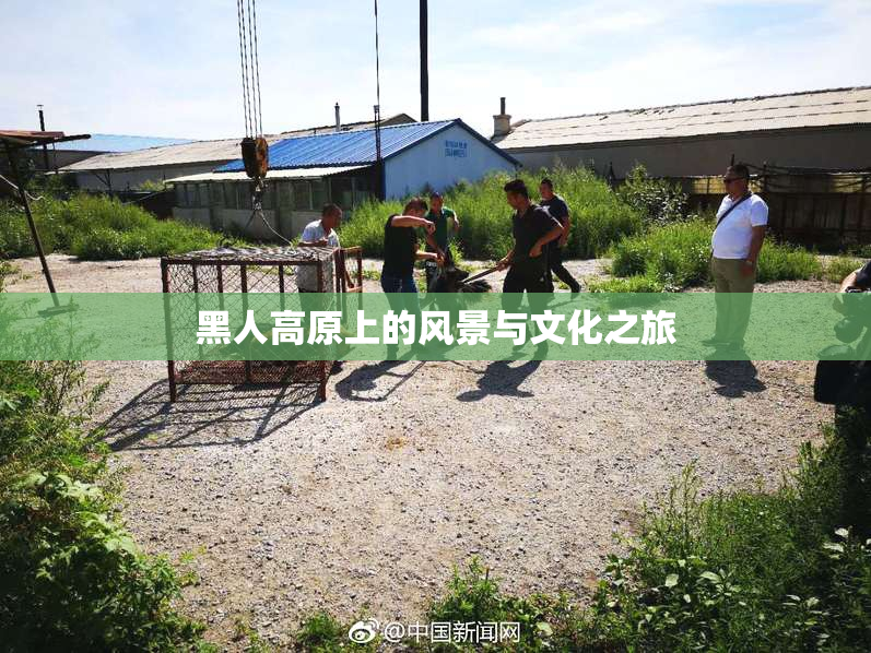 黑人高原上的风景与文化之旅