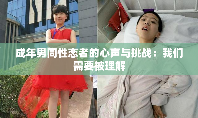 成年男同性恋者的心声与挑战：我们需要被理解
