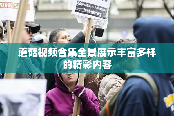 蘑菇视频合集全景展示丰富多样的精彩内容