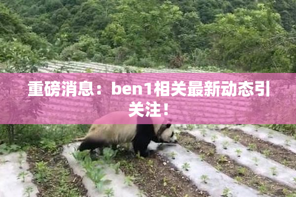 重磅消息：ben1相关最新动态引关注！