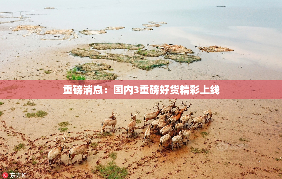 重磅消息：国内3重磅好货精彩上线