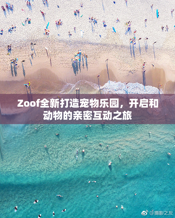 Zoof全新打造宠物乐园，开启和动物的亲密互动之旅