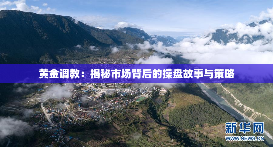 黄金调教：揭秘市场背后的操盘故事与策略