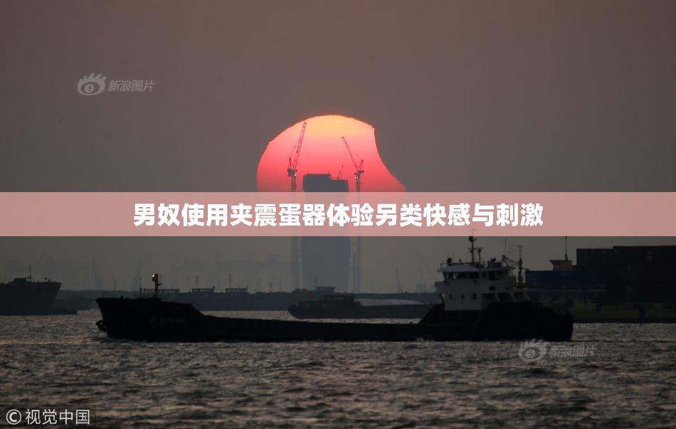 男奴使用夹震蛋器体验另类快感与刺激
