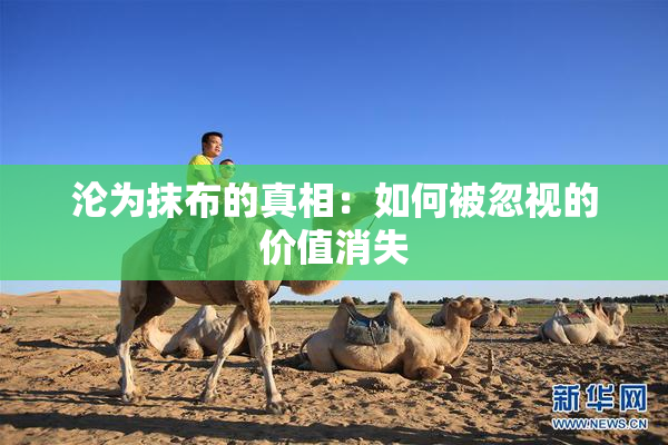 沦为抹布的真相：如何被忽视的价值消失