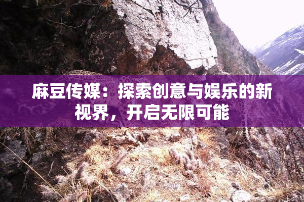 麻豆传媒：探索创意与娱乐的新视界，开启无限可能