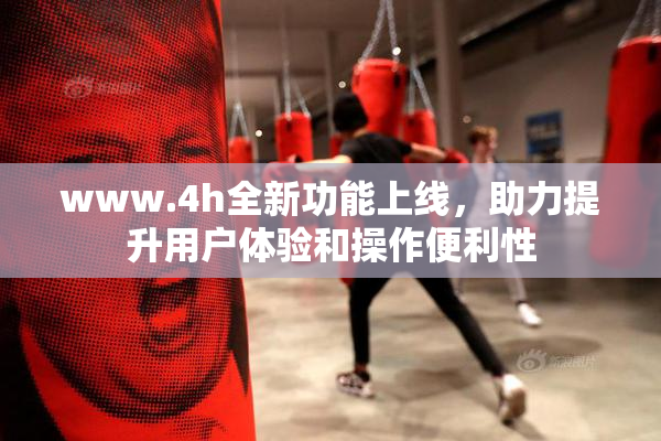 www.4h全新功能上线，助力提升用户体验和操作便利性