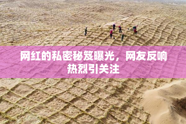 网红的私密秘笈曝光，网友反响热烈引关注