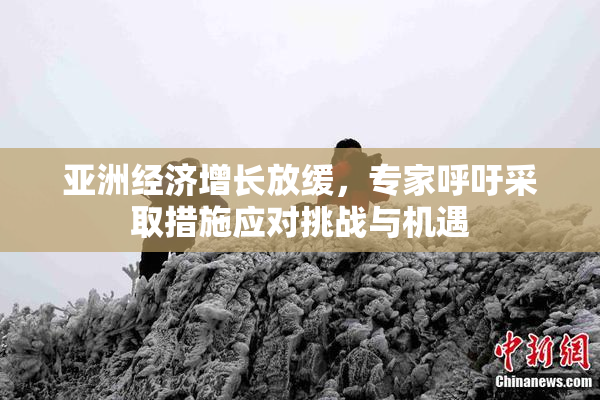 亚洲经济增长放缓，专家呼吁采取措施应对挑战与机遇