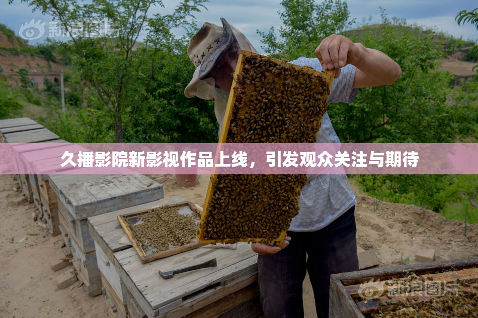 久播影院新影视作品上线，引发观众关注与期待