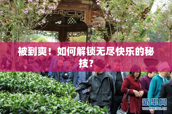 被到爽！如何解锁无尽快乐的秘技？