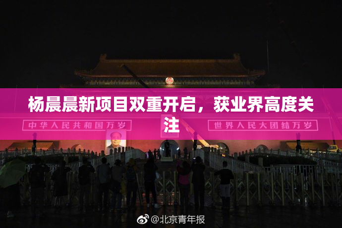 杨晨晨新项目双重开启，获业界高度关注