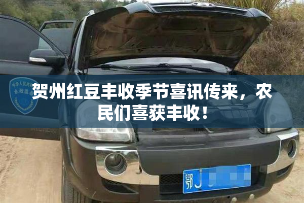 贺州红豆丰收季节喜讯传来，农民们喜获丰收！