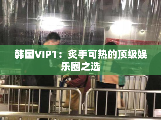 韩国VIP1：炙手可热的顶级娱乐圈之选