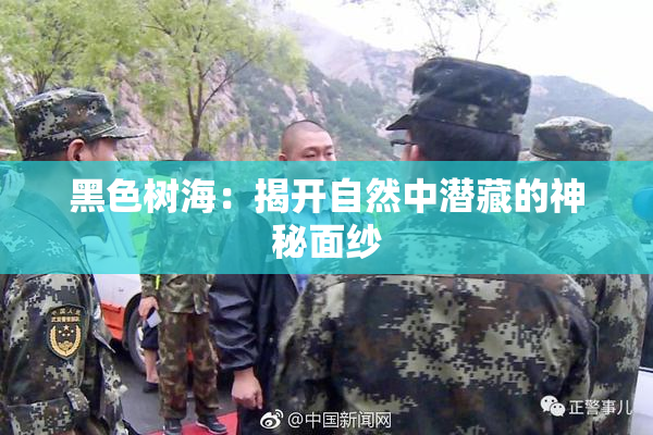 黑色树海：揭开自然中潜藏的神秘面纱