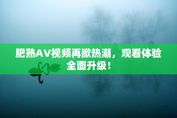 肥熟AV视频再掀热潮，观看体验全面升级！