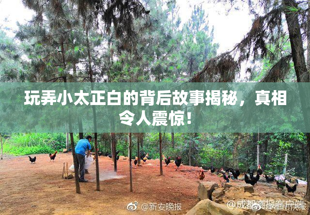 玩弄小太正白的背后故事揭秘，真相令人震惊！