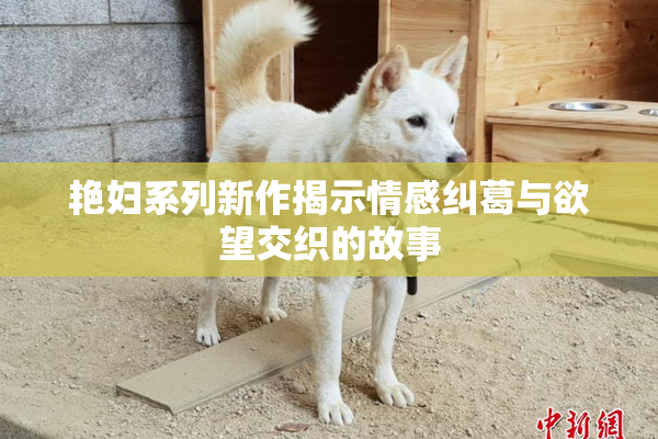 艳妇系列新作揭示情感纠葛与欲望交织的故事