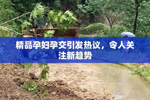 精品孕妇孕交引发热议，令人关注新趋势