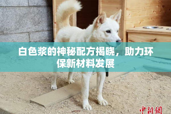 白色浆的神秘配方揭晓，助力环保新材料发展