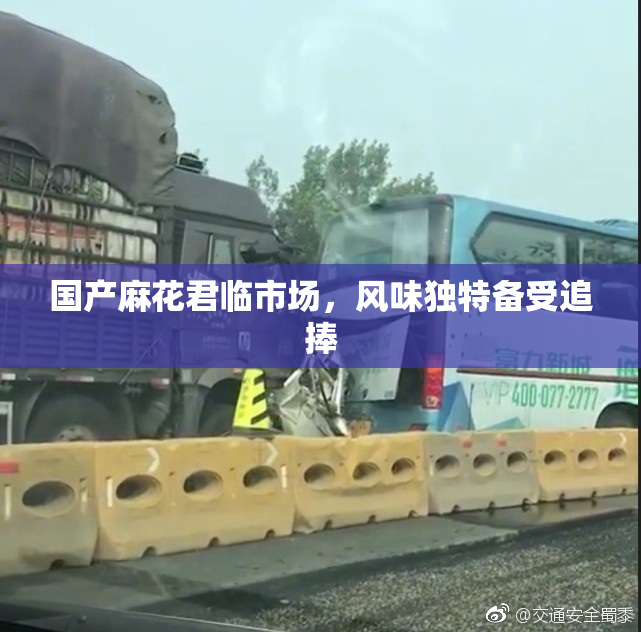 国产麻花君临市场，风味独特备受追捧