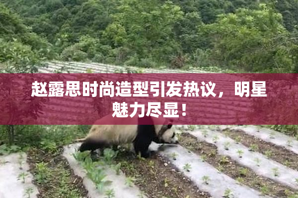 赵露思时尚造型引发热议，明星魅力尽显！